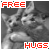 Cats icon graphics