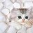 Cats icon graphics