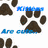 Cats icon graphics