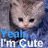 Cats icon graphics