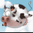 Cow icon graphics
