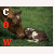Cow icon graphics