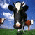 Cow icon graphics