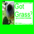 Cow icon graphics