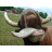 Cow icon graphics