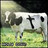 Cow icon graphics