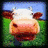 Cow icon graphics