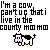 Cow icon graphics