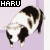 Cow icon graphics