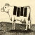 Cow icon graphics