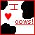 Cow icon graphics