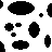Cow icon graphics