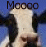Cow icon graphics