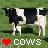 Cow icon graphics