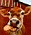 Cow icon graphics