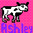 Cow icon graphics