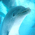 Dolphin icon graphics
