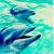 Dolphin icon graphics