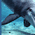 Dolphin icon graphics