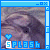 Dolphin icon graphics