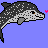 Dolphin icon graphics