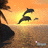 Dolphin icon graphics
