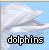 Dolphin icon graphics