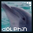 Dolphin icon graphics