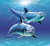 Dolphin icon graphics
