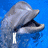 Dolphin icon graphics