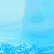 Dolphin icon graphics