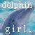 Dolphin icon graphics