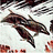 Dolphin icon graphics