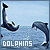 Dolphin icon graphics