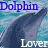 Dolphin icon graphics