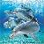 Dolphin icon graphics