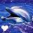 Dolphin icon graphics