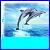 Dolphin icon graphics