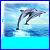 Dolphin icon graphics