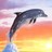 Dolphin icon graphics