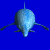 Dolphin icon graphics