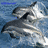 Dolphin icon graphics