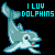 Dolphin icon graphics