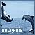 Dolphin icon graphics