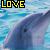 Dolphin icon graphics