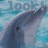 Dolphin icon graphics