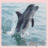 Dolphin icon graphics
