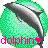 Dolphin icon graphics