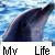 Dolphin icon graphics