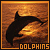 Dolphin icon graphics